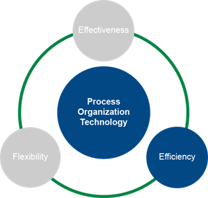 Chart_ProcessOrganization_Efficiency